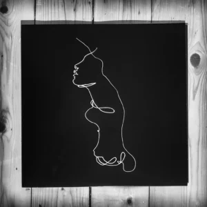 The Faintest Idea - SIGNED BLACK EDITION VINYL LP